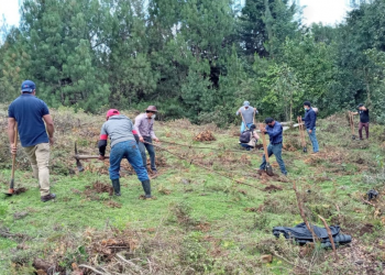 MARN mantiene jornadas de reforestación en los departamentos