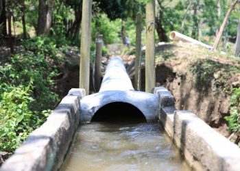 MAGA fortalecerá infraestructura de riego en Zacapa y Quiché