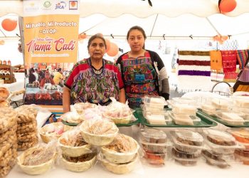 Mipyme registra ventas de 9 millones de dólares al Estado