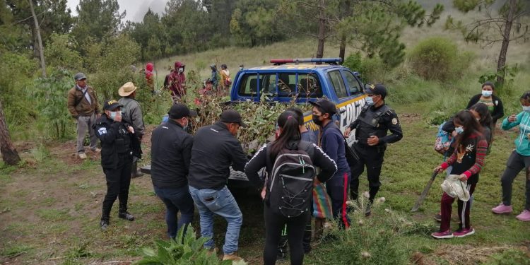 Agentes de la PNC han plantado más de 128 mil árboles en el territorio