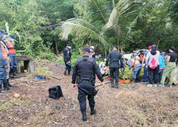 PNC ha contribuido en jornadas de reforestación con más de 133 mil árboles