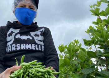 Ventas locales para alimentación escolar alcanzarían los 339 millones de quetzales