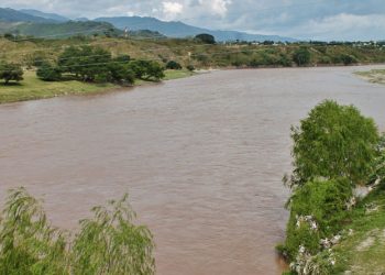 Impulsan proyecto de reforestación para proteger el río Motagua