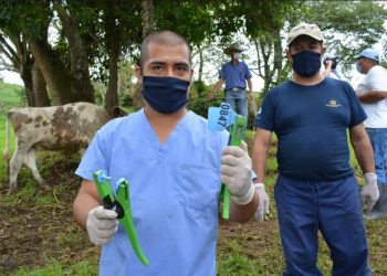 MAGA efectúa registro de productores bovinos en Jutiapa y Santa Rosa