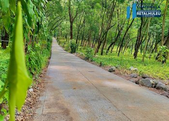 Mejoramiento de camino rural contribuye al progreso de Nuevo San Carlos