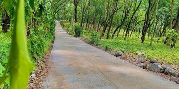 Mejoramiento de camino rural contribuye al progreso de Nuevo San Carlos