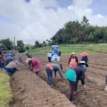 Huerto comunal fortalecerá la seguridad alimentaria en Chiantla, Huehuetenango