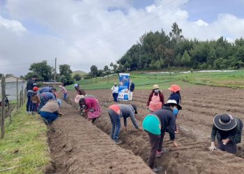Huerto comunal fortalecerá la seguridad alimentaria en Chiantla, Huehuetenango
