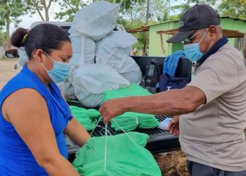 Accionan para prevenir enfermedades transmitidas por zancudos