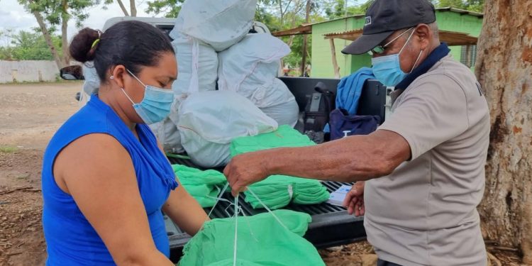 Accionan para prevenir enfermedades transmitidas por zancudos
