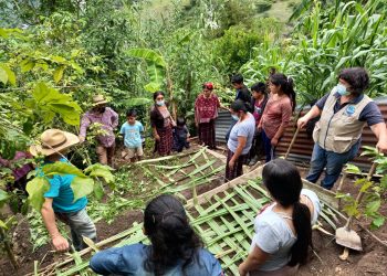 Huertos biointensivos, la apuesta del MAGA en San Rafael Petzal