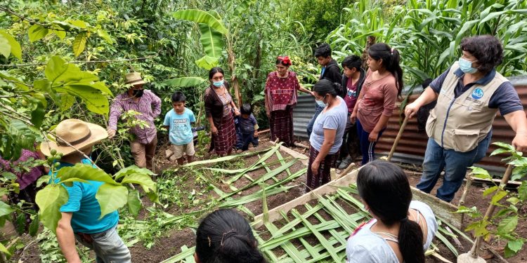 Huertos biointensivos, la apuesta del MAGA en San Rafael Petzal