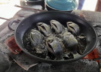 Pobladores de Taxisco, Santa Rosa, se benefician con cuarta cosecha de tilapia