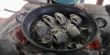 Pobladores de Taxisco, Santa Rosa, se benefician con cuarta cosecha de tilapia