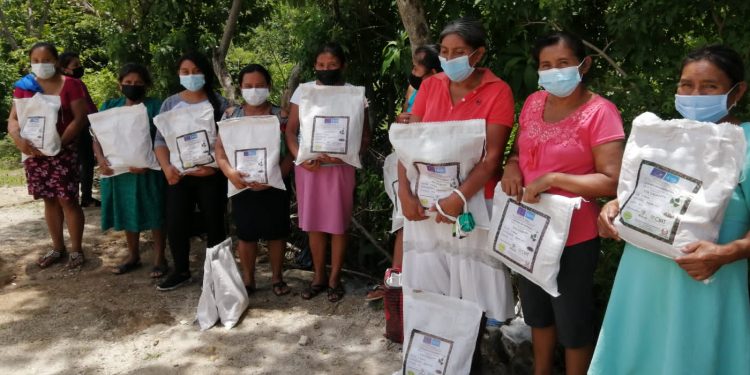 Más de 600 familias chiquimultecas reciben semilla de frijol biofortificada