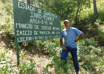 Realizan cuarto pago del programa de Incentivos Forestales en Quiché