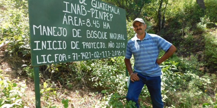 Realizan cuarto pago del programa de Incentivos Forestales en Quiché