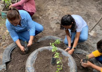 Impulsan huertos pedagógicos en La Gomera