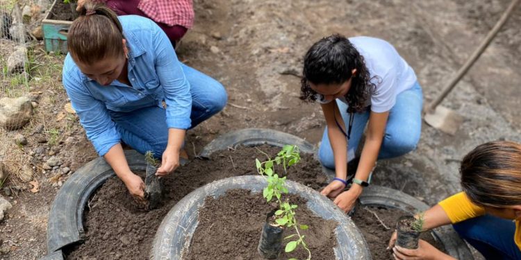 Impulsan huertos pedagógicos en La Gomera