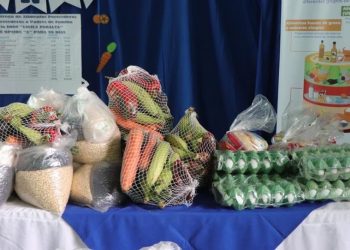 Más de 400 escuelas de El Progreso empiezan a entregar alimentación escolar