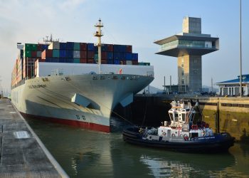 Canal de Panamá delimita tráfico y velocidad de buques para cuidar ballenas