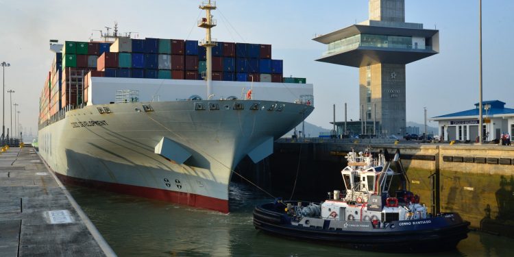 Canal de Panamá delimita tráfico y velocidad de buques para cuidar ballenas