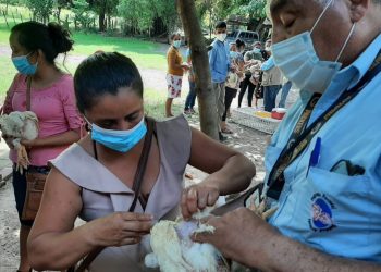 MAGA asesora a vecinos de Escuintla en producción avícola