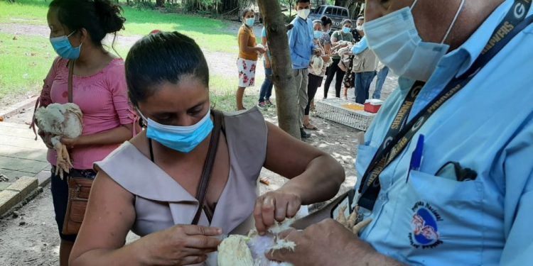 MAGA asesora a vecinos de Escuintla en producción avícola