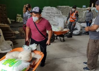 Alimentos por Acciones beneficia a más de 28 mil familias que crearon huertos