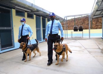 Unidad K-9 fortalecerá apoyo en requisas y operativos de seguridad en centros carcelarios