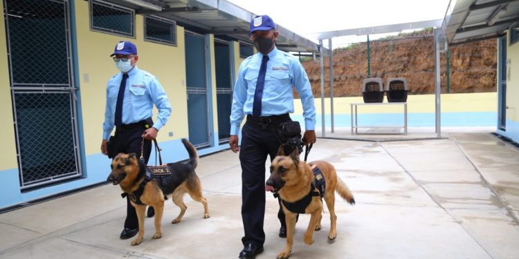 Unidad K-9 fortalecerá apoyo en requisas y operativos de seguridad en centros carcelarios
