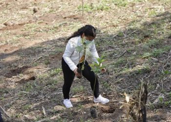 Suchitepéquez tiene más de 500 nuevos guardianes ecológicos
