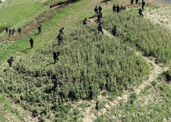 Más de 2 mil 370 millones de quetzales en drogas, bienes y dinero incautados al narcotráfico