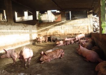 Procesan a tres personas por contaminación industrial y contravención de medidas sanitarias