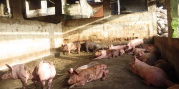 Procesan a tres personas por contaminación industrial y contravención de medidas sanitarias