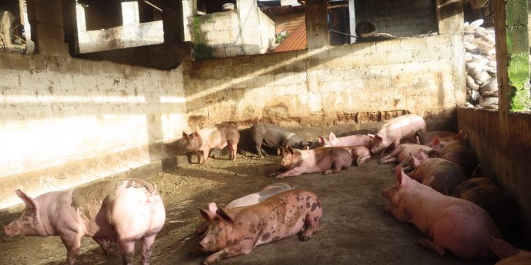Procesan a tres personas por contaminación industrial y contravención de medidas sanitarias