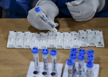 Científicos de Sudáfrica hallan una nueva variante de coronavirus muy mutante