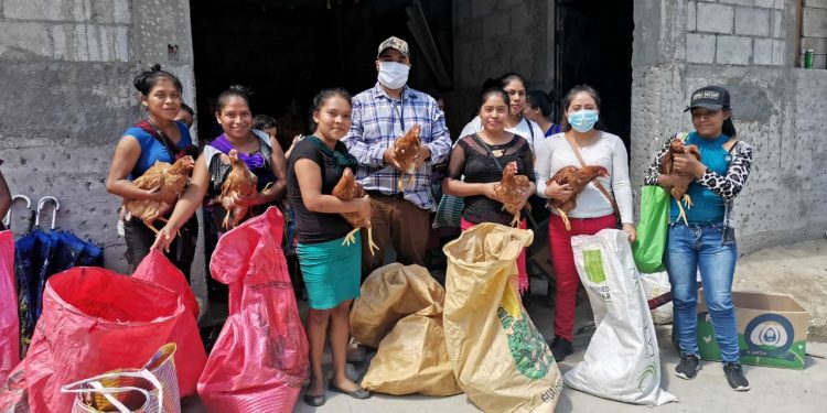 Benefician a mil familias de Cuilco en la producción y disponibilidad de alimentos