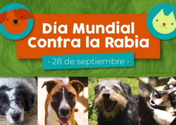 Buscan vacunar contra la rabia a más de 3 millones de perros
