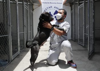 Centro de Atención Primaria (Cenapri).