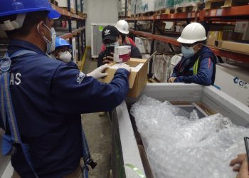 COVID-19: Lote de 363 mil 100 dosis de vacunas ingresa a Guatemala