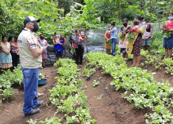 El programa de alimentos por acciones apoya a familias del área rural.