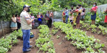 El programa de alimentos por acciones apoya a familias del área rural.