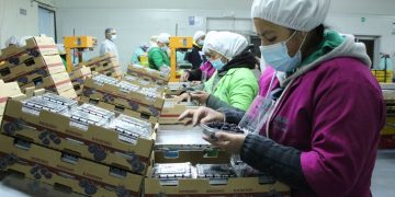 MAGA reafirma compromiso de promover innovación tecnológica en sector agrícola