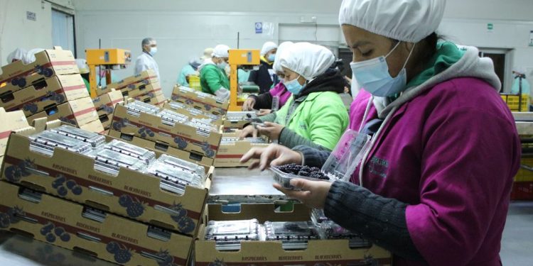 MAGA reafirma compromiso de promover innovación tecnológica en sector agrícola