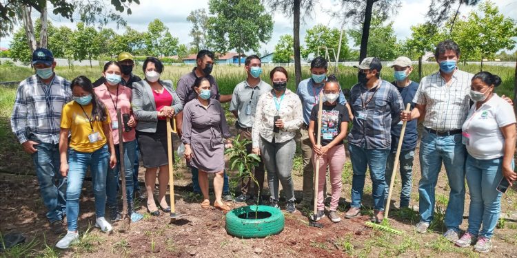 Huertos familiares y escolares fortalecen la seguridad alimentaria en los departamentos