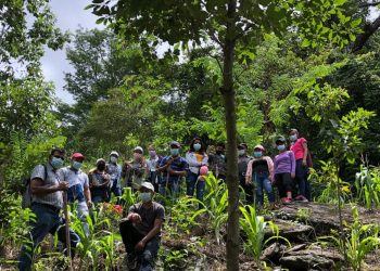Jornadas de reforestación en San Agustín Acasaguastlàn