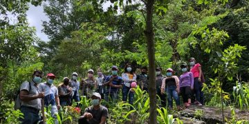 Jornadas de reforestación en San Agustín Acasaguastlàn