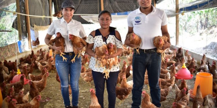 MAGA impulsa el emprendimiento agrícola en mujeres
