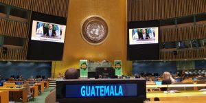 Participación de Guatemala en la Cumbre sobre Diversidad Bilógica de la ONU en 2020.